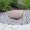dscf0081