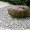 dscf0092