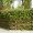 hecke-virb